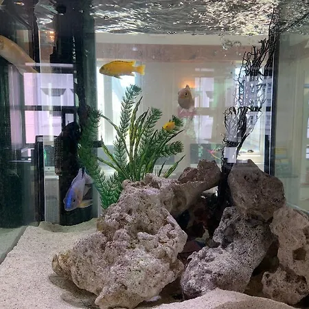 Kinlay Eyre Square Hostel