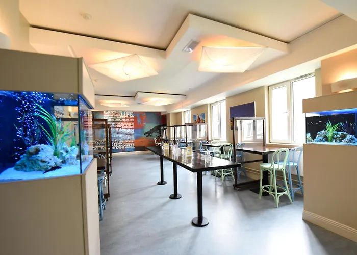 Kinlay Eyre Square - In Ireland 2025