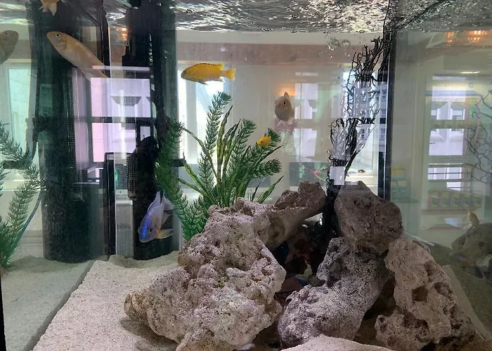 Kinlay Eyre Square - In Ireland 2025 Hostel