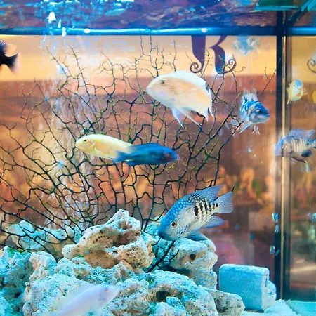 Kinlay Eyre Square - In Ireland 2025 بيت شباب غالواي