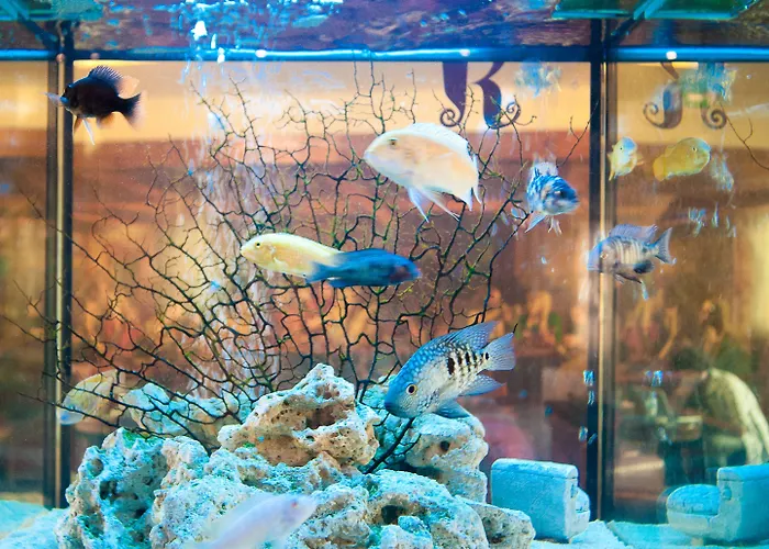 Kinlay Eyre Square - In Ireland 2025 Hostel Galway